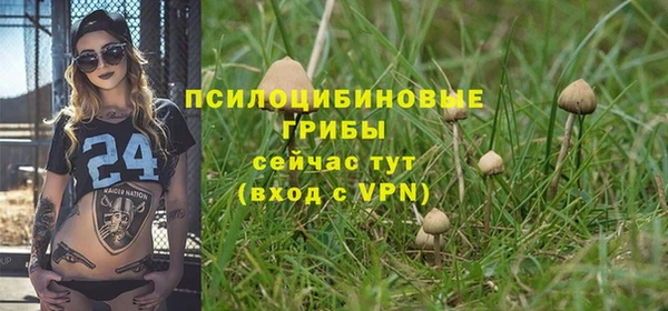 2c-b Аркадак